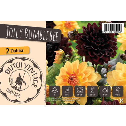 DUTH VINTAGE Jolly Bumblebee 2db-os kollekció