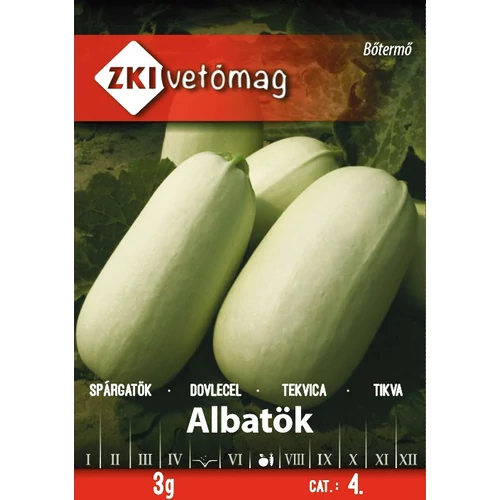 Kép 1/2 - Spárgatök Albatök - KORAI - ZKI
