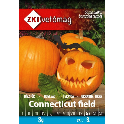 Halloween tök - Connecticut field