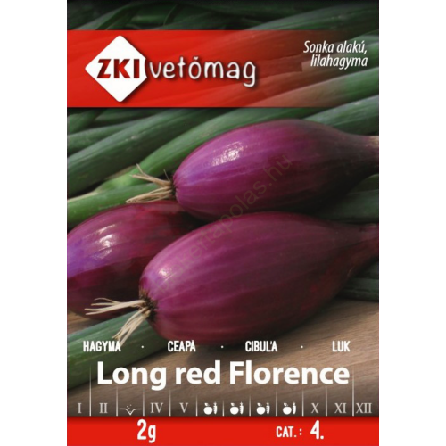 Lila Sonkahagyma - Long red Florence