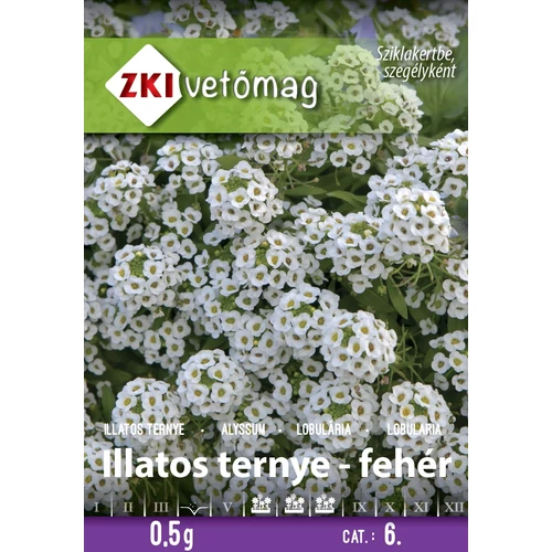 Illatos ternye - FEHÉR MÉZVIRÁG