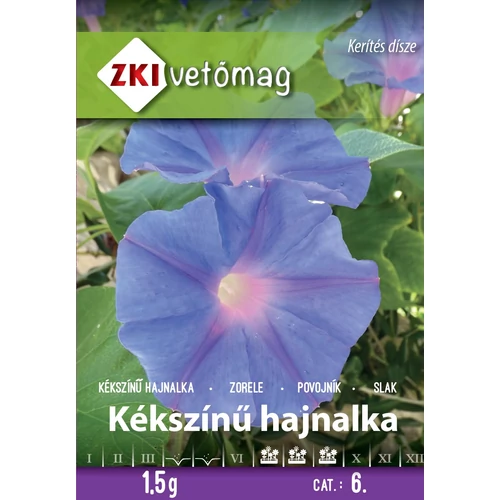 Kékszínű futó hajnalka