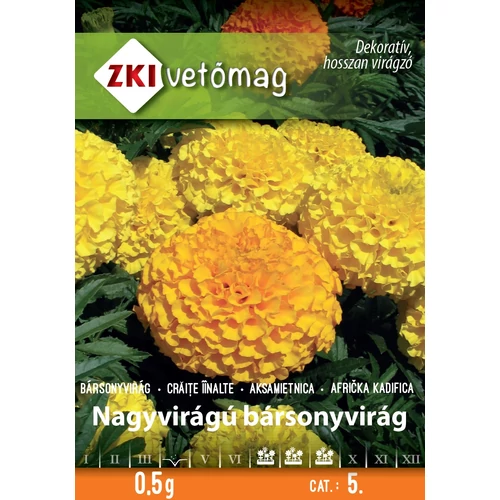 Nagyvirágú bársonyvirágú színkeverék - MAGAS