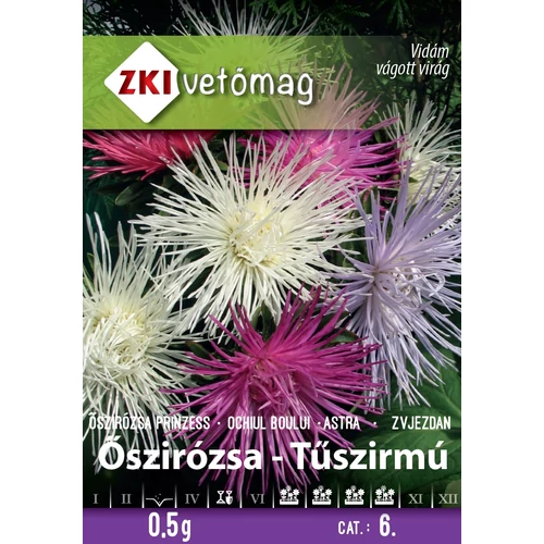 Őszirózsa Tűszirmú Színkeverék (Callistephus chinensis) 