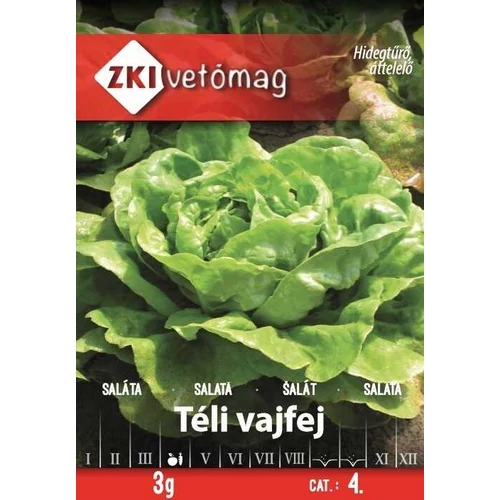 Kép 1/2 - Saláta - Téli vajfej - ZKI