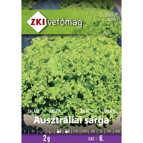 Kép 1/2 - Saláta Ausztráliai sárga Tépősaláta - ZKI
