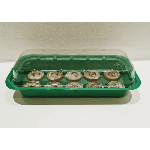 Kép 5/6 - Palántázó tálca tőzegkoronggal