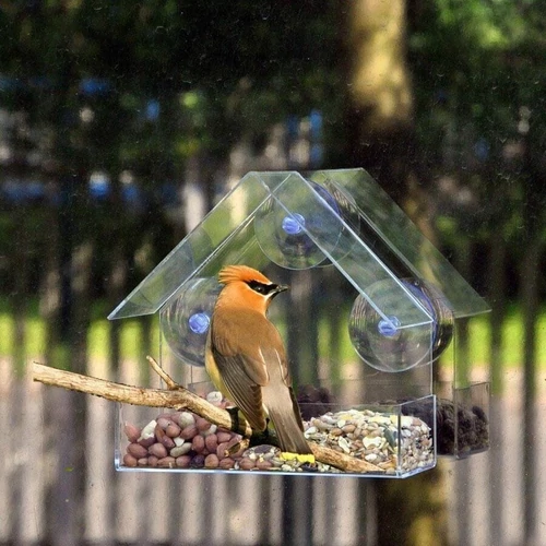 Kép 3/6 - Ablakra rögzíthető átlátszó madáretető