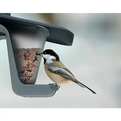 Kép 2/4 - Kétoldali átlátszó önetetős madáretető