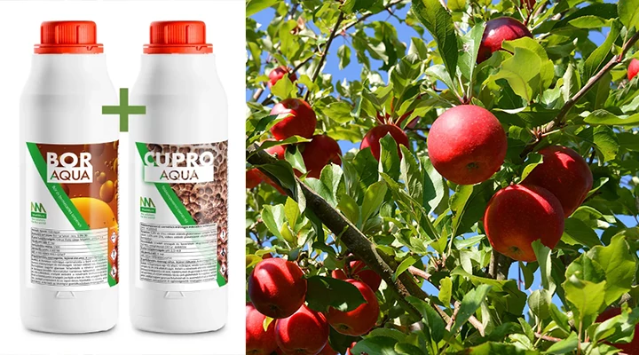 Itt az idő a BIO lemosó permetezésre – védd meg a kerted most!