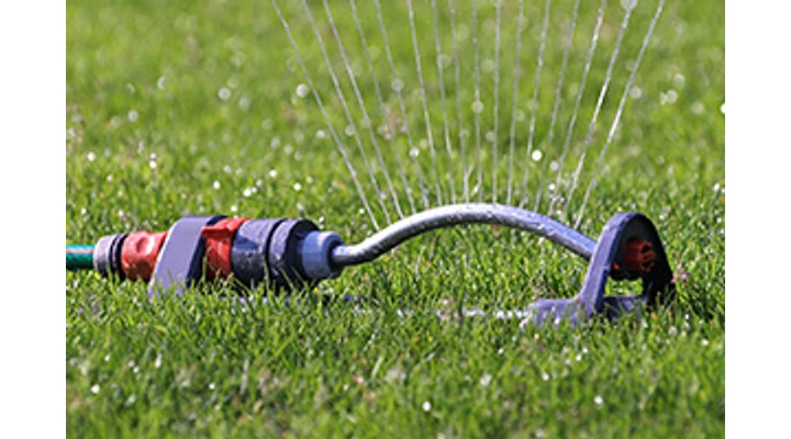 Szárazságtűrő fűmag a napos helyek füvesítéséhez