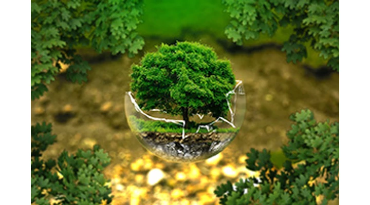 Mikrobiológiai védelem a talajlakó rovarkártevők ellen