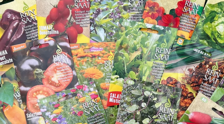 Miért éri meg biodinamikus vetőmagot választani? – A ReinSaat 2026-os újdonságai