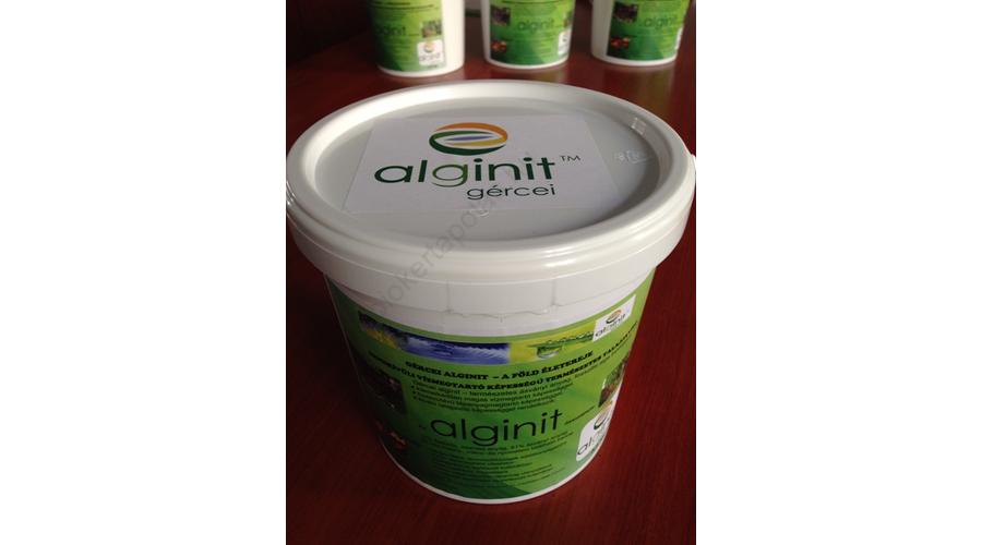 alginit
