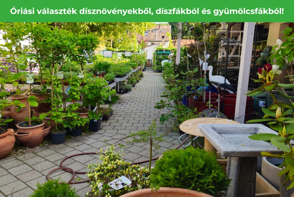 Kertészet