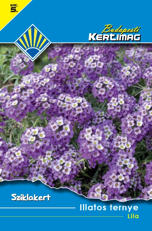 Mézvirág (Lobularia maritima)