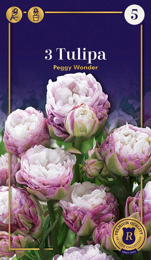 Tulipán Double Late 'Peggy Wonder'