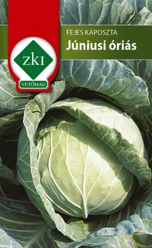 Fejes Káposzta Júniusi óriás - KORAI - ZKI