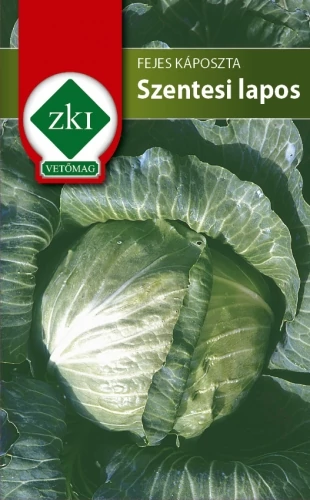 Fejes Káposzta Szentesi lapos - ŐSZI - ZKI