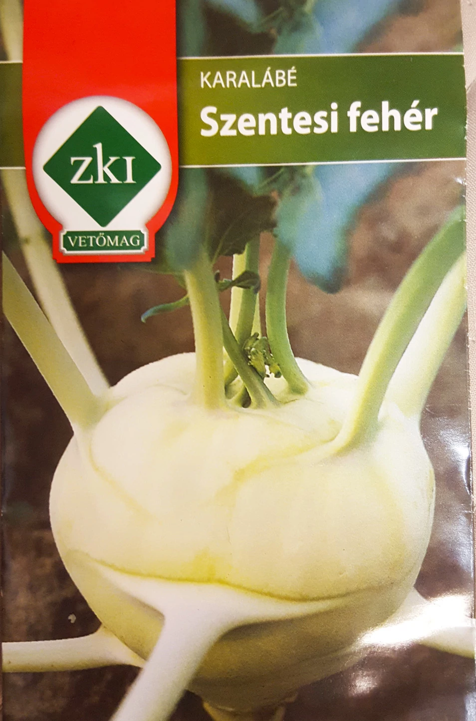 Karalábé Szentesi fehér - KORAI