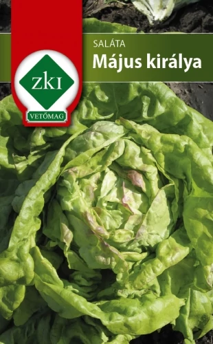 Saláta Május királya - KORAI - ZKI