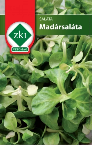 Saláta - Madársaláta - FOLYAMATOSAN VETHETŐ - ZKI