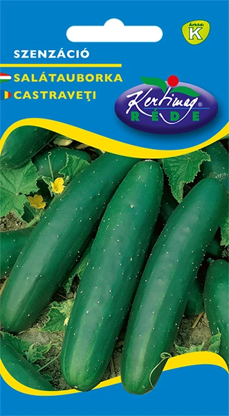 Szenzáció - SALÁTAUBORKA -  Rédei Kertimag