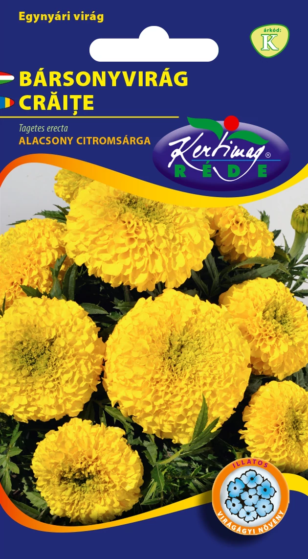 Bársonyvirág - Óriásvirágú Citromsárga - ALACSONY - Rédei Kertimag