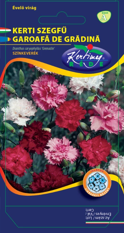 Évelő Kerti Szegfű színkeverék (Dianthus caryoph Grenadin)