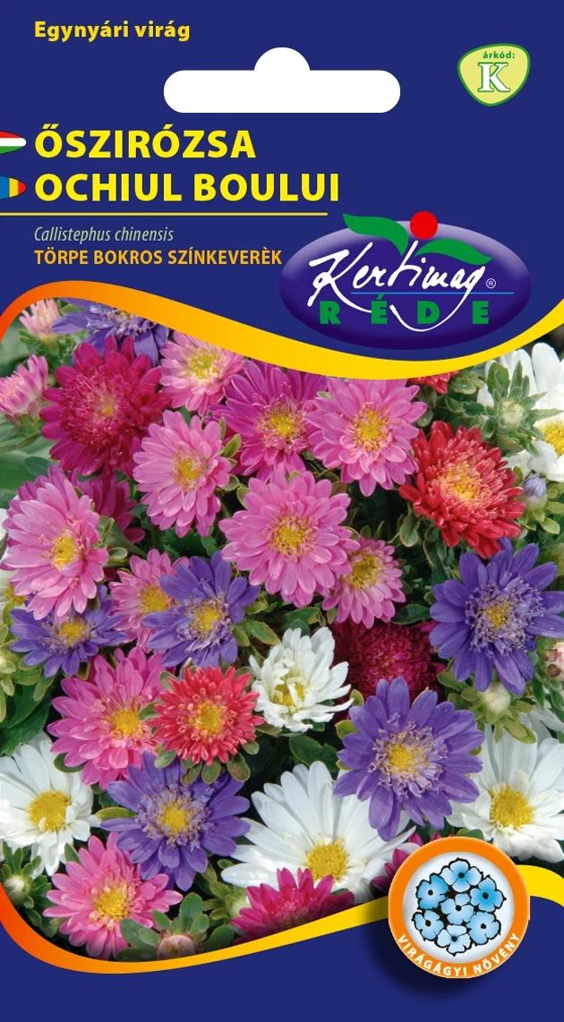 Őszirózsa Törpe bokros -SZÍNKEVERÉK - Rédei Kertimag