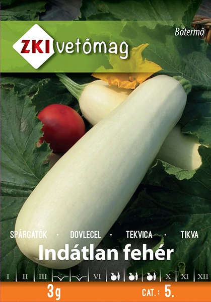 Spárgatök - Indátlan fehér - BŐTERMŐ - ZKI