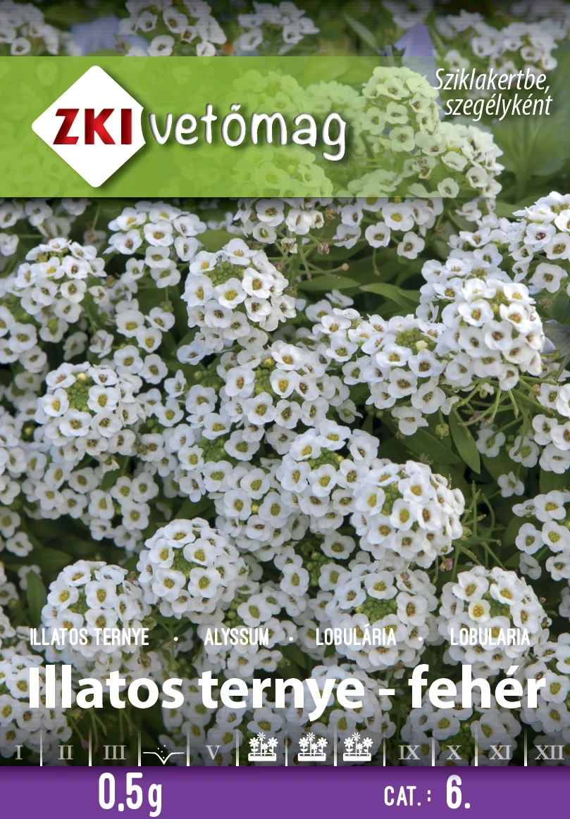 Illatos ternye FEHÉR MÉZVIRÁG