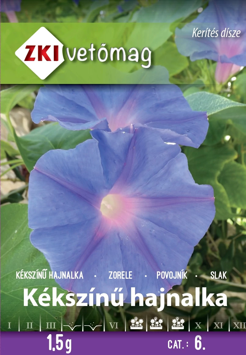 Kékszínű futó hajnalka
