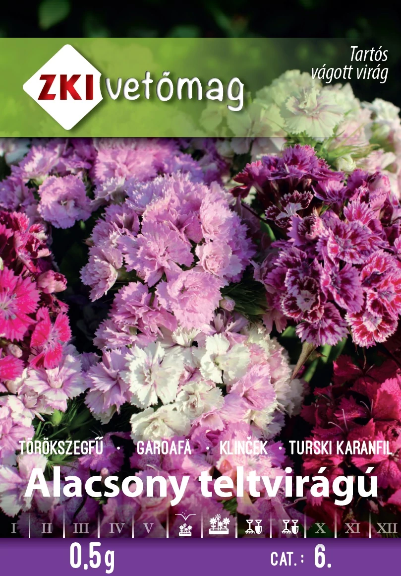 Törökszegfű teltvirágú színkeverék ALACSONY