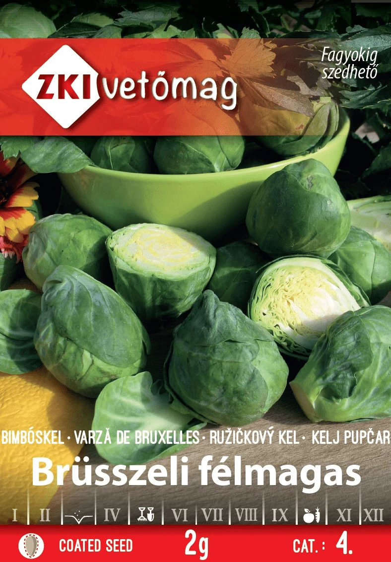 Bimbóskel Brüsszeli félmagas - ZKI