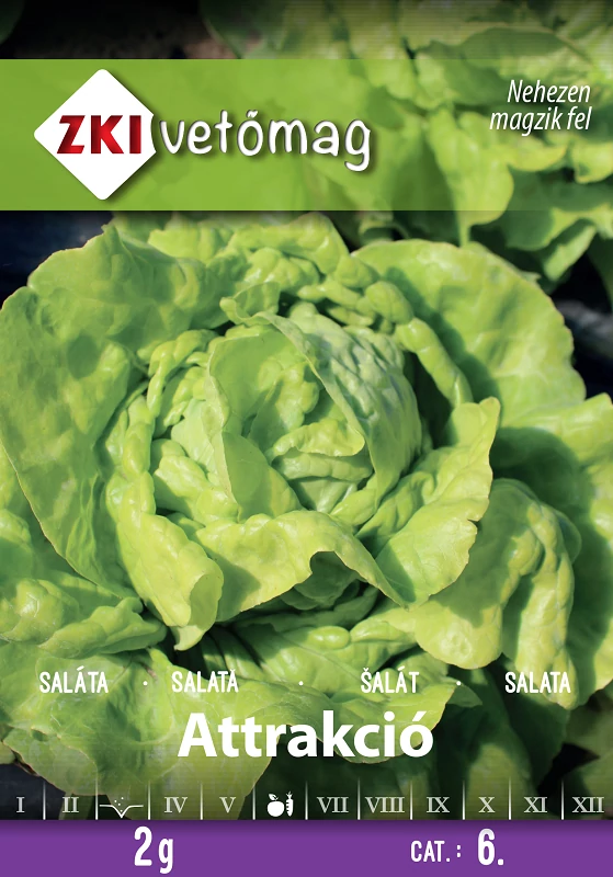 Saláta - Attrakció - NYÁRI, ŐSZI - ZKI